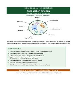 Cells Station Rotation | Structure & Membrane Transport | NGSS & NY Regents