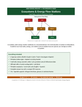 Ecosystems & Energy Flow Stations | 6-Station Rotation | NGSS & NY Regents