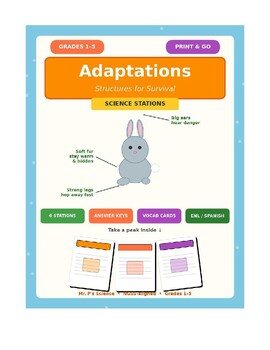 Animal Adaptations Science Stations | Camouflage, Beaks & Plants | Grades 1-5